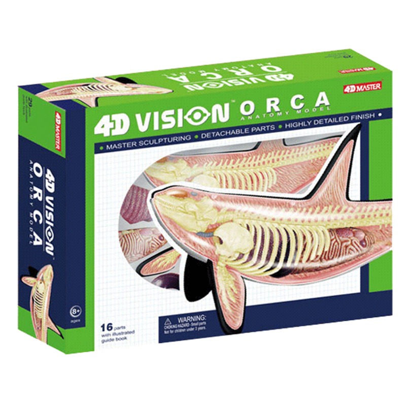 4D Vision Orca Whale Skeleton  – обзор и цена Medical Lab Technology